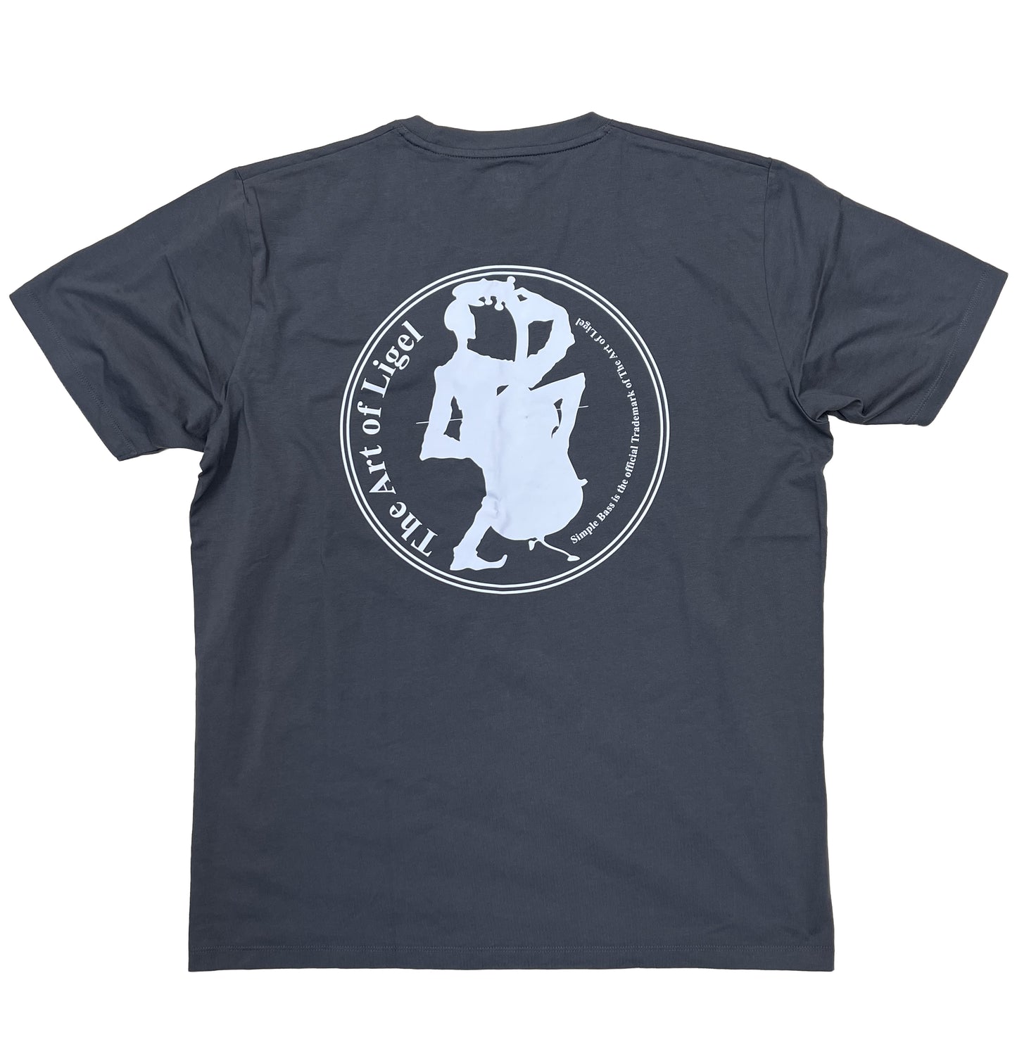 Back view of gray short sleeve T-shirt by The Art of Ligel LLC, showcasing a casual fit and minimalist design.
